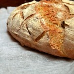 Pane alle noci con farina di Kamut e pasta madre